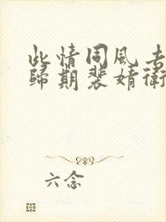 此情同风去再无归期裴婧卫昭全文阅读封面