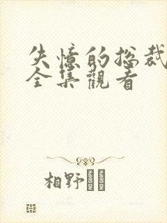 失忆的总裁老婆全集观看