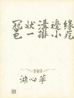 冠状沟边缘有黑色一排小疙瘩