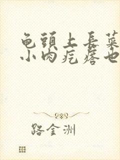 龟头上长菜花状小肉疙瘩也不痛不痒