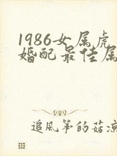 1986女属虎婚配最佳属相