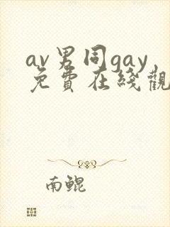 av男同gay免费在线观看