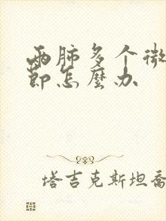 两肺多个微小结节怎么办