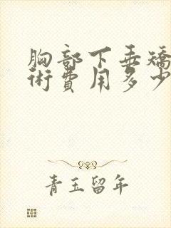 胸部下垂矫正手术费用多少钱封面