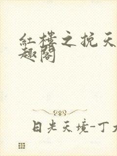 红楼之挽天倾笔趣阁