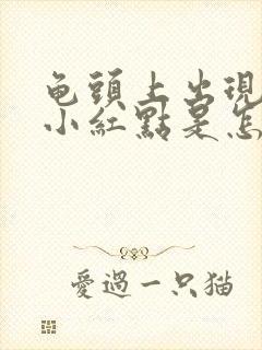 龟头上出现好多小红点是怎么回事