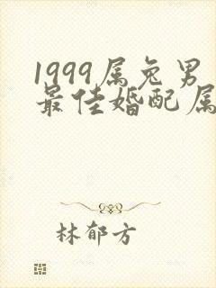 1999属兔男最佳婚配属相
