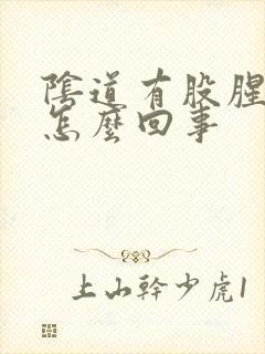 阴道有股腥味是怎么回事