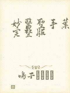 妙医圣手叶皓轩完整版