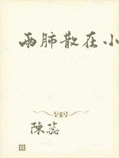 两肺散在小结节