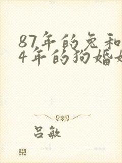 87年的兔和94年的狗婚姻相配吗