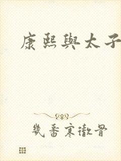 康熙与太子妃封面