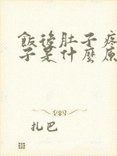 饭后肚子疼拉肚子是什么原因引起的