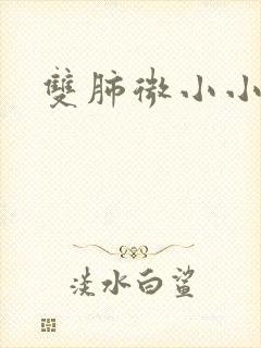 双肺微小小结节封面