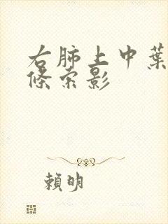 右肺上中叶少许条索影