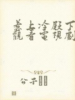 惹上冷殿下免费观看电视剧大全