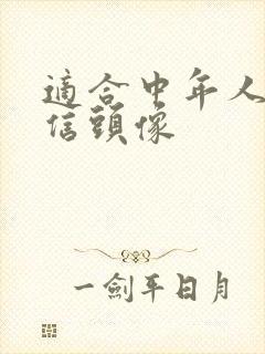 适合中年人的微信头像