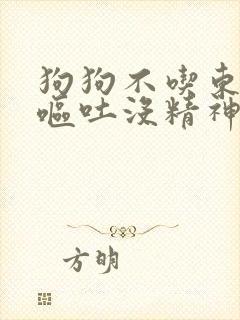 狗狗不吃东西还呕吐没精神只喝水