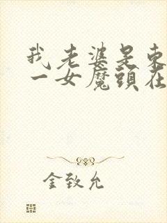 我老婆是东晋第一女魔头在线阅读全文封面