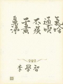 鼻子不通气黄鼻涕黄痰吃啥药封面