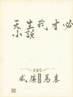 天生我才必有用小说封面