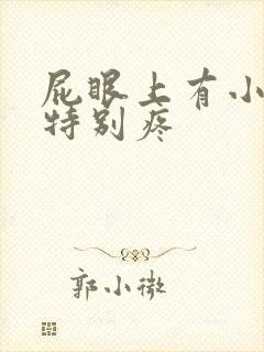 屁眼上有小肉球特别疼封面