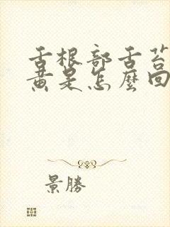 舌根部舌苔厚发黄是怎么回事吃什么药