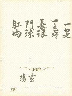 肛门长了一个小肉球很疼是怎么回事封面