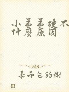 小弟弟硬不起是什么原因