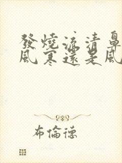 发烧流清鼻涕是风寒还是风热