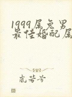1999属兔男最佳婚配属相
