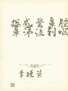 总感觉鼻腔里有鼻涕流到咽喉里