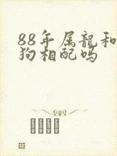 88年属龙和属狗相配吗