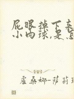 屁眼掉下来一个小肉球,是怎么回事