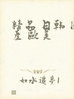 精品 日韩 国产 欧美