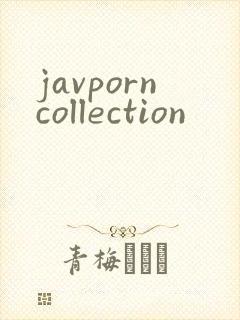 javporncollection封面