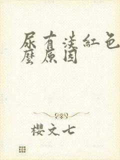 尿有淡红色是什么原因封面