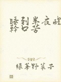 睡到半夜醒来口干口苦