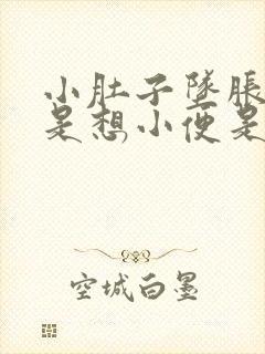 小肚子坠胀感老是想小便是怎么回事