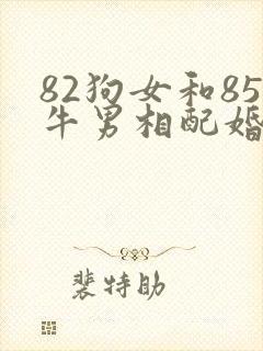 82狗女和85牛男相配婚姻如何封面