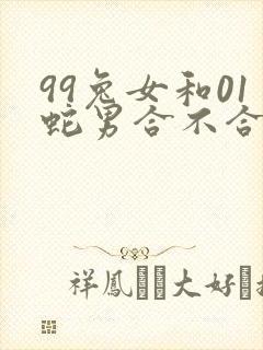 99兔女和01蛇男合不合