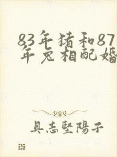 83年猪和87年兔相配婚姻如何封面