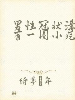 男性冠状沟边缘有一圈小疙瘩封面