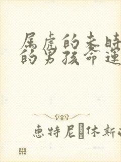 属虎的未时出生的男孩命运