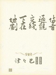 地下交通站电视剧在线观看免费高清