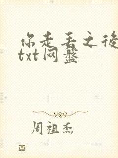 你走丢之后小说txt网盘