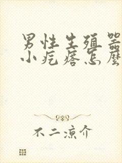 男性生殖器上出小疙瘩怎么回事