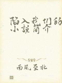 陷入我们的热恋小说简介