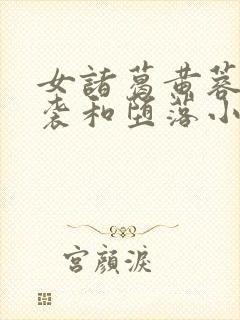 女诸葛黄蓉的逆袭和堕落小说结局