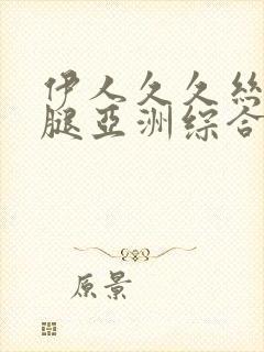 伊人久久丝袜美腿亚洲综合